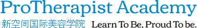 More about Protherapist Academy